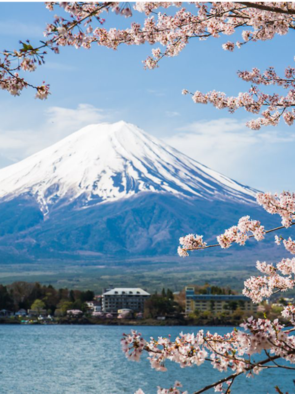 Mt. Fuji Private Luxury Photo Tour