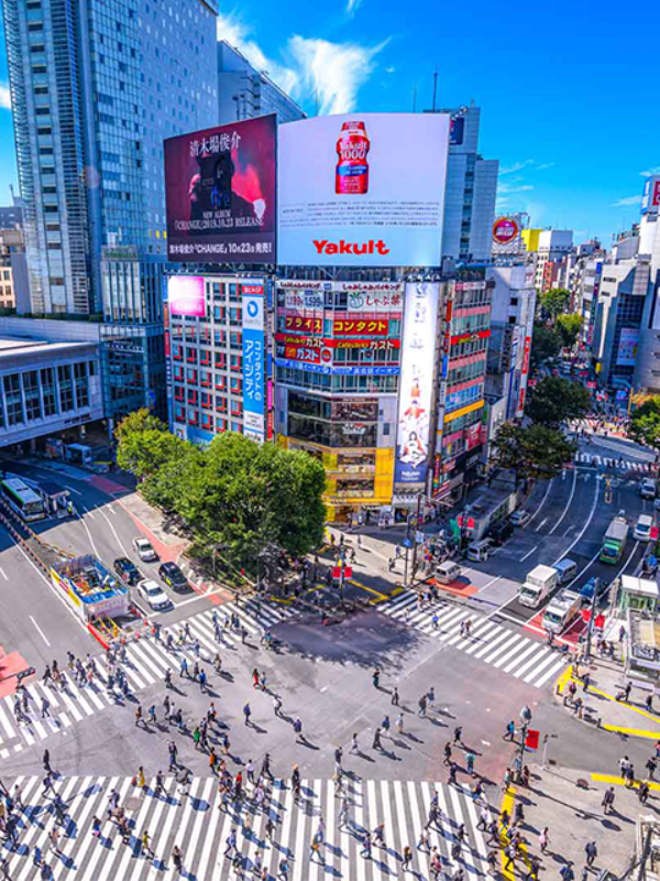 Tokyo Private Custom Photo Tour